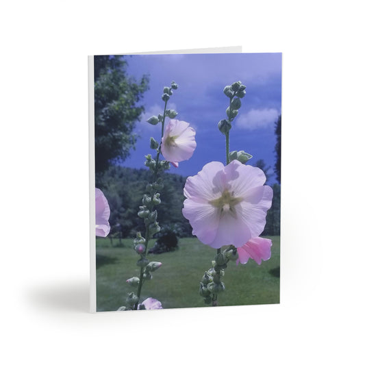 Holly Hock in Vermont greeting cards