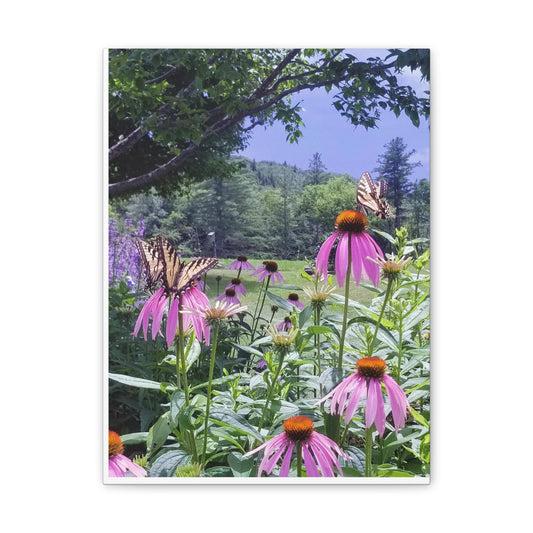 Magicial Echinacea Canvas print